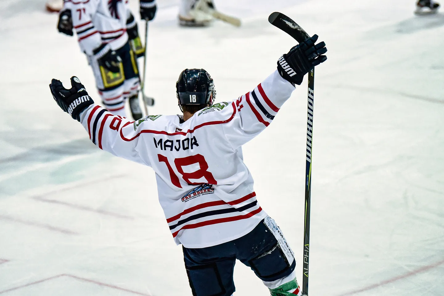 Ein junger Falcons-Spieler auf dem Eis mit jubelnd erhobenen Armen.